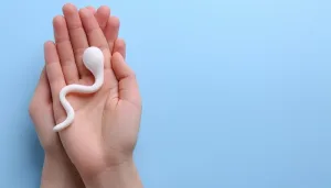 Quan Hệ Dưới Bao Nhiêu Phút Là Yếu Sinh Lý?